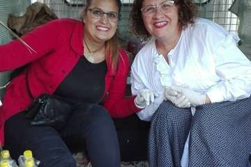 Romería de Tara 2019 (Foto Carmelo Santana)